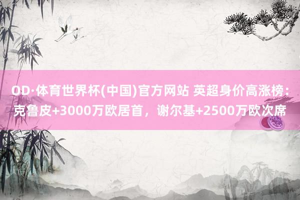 OD·体育世界杯(中国)官方网站 英超身价高涨榜：克鲁皮+3000万欧居首，谢尔基+2500万欧次席