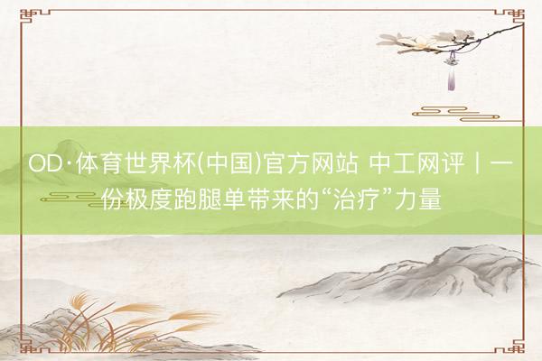 OD·体育世界杯(中国)官方网站 中工网评丨一份极度跑腿单带来的“治疗”力量