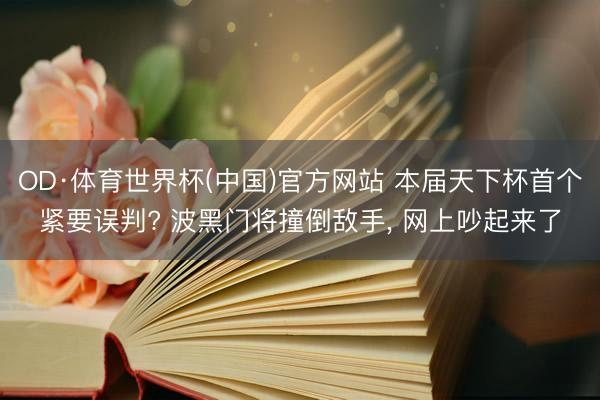OD·体育世界杯(中国)官方网站 本届天下杯首个紧要误判? 波黑门将撞倒敌手， 网上吵起来了