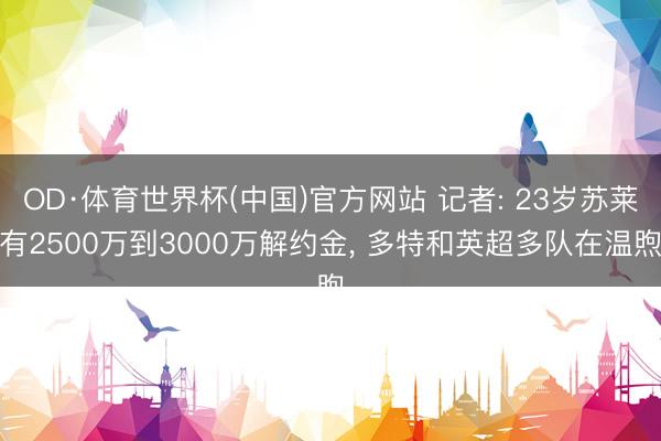 OD·体育世界杯(中国)官方网站 记者: 23岁苏莱有2500万到3000万解约金， 多特和英超多队在温煦