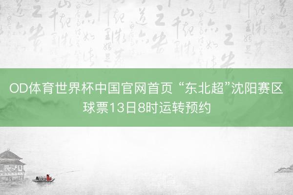 OD体育世界杯中国官网首页 “东北超”沈阳赛区球票13日8时运转预约