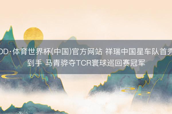 OD·体育世界杯(中国)官方网站 祥瑞中国星车队首秀到手 马青骅夺TCR寰球巡回赛冠军