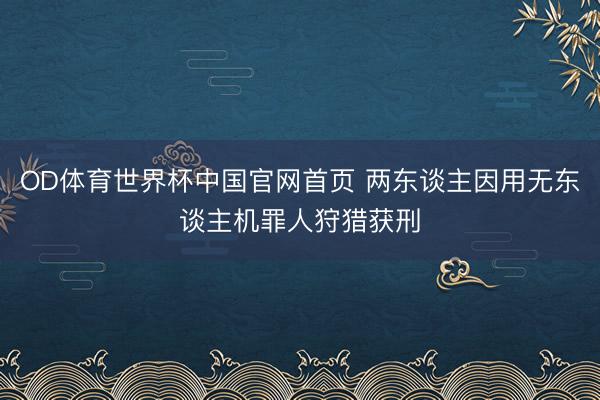 OD体育世界杯中国官网首页 两东谈主因用无东谈主机罪人狩猎获刑