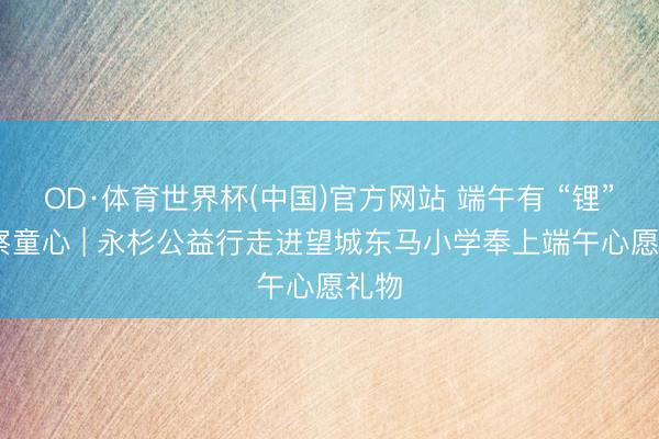 OD·体育世界杯(中国)官方网站 端午有 “锂” 督察童心 | 永杉公益行走进望城东马小学奉上端午心愿礼物