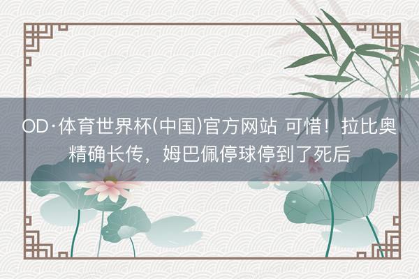 OD·体育世界杯(中国)官方网站 可惜！拉比奥精确长传，姆巴佩停球停到了死后
